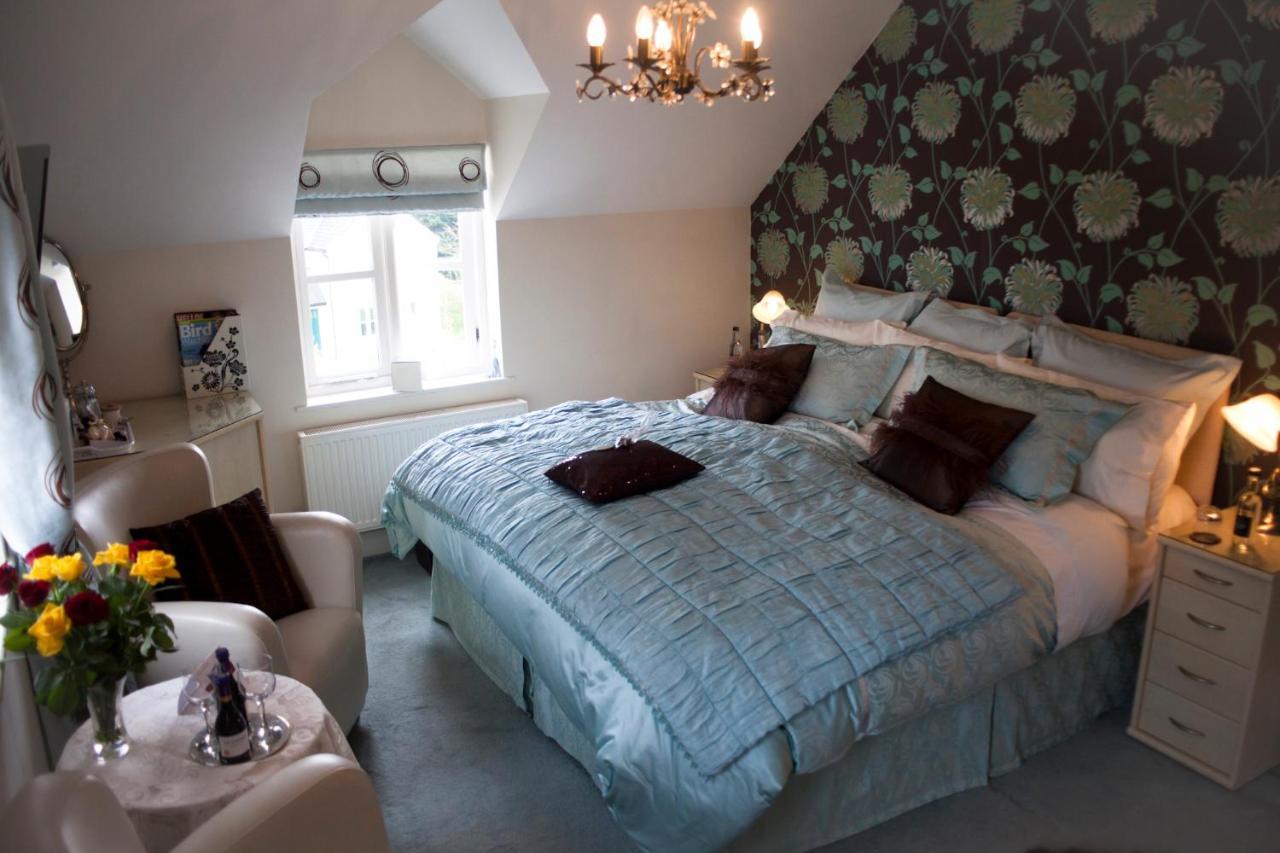 Y Garth Luxury Bed And Breakfast Dinas  Екстериор снимка